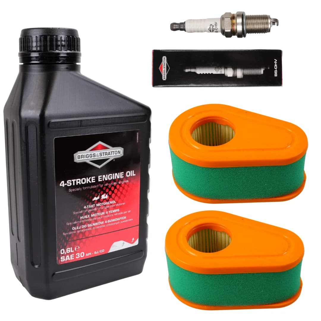 ENSEMBLE D'ENTRETIEN Filtre à air 2x, Bougie d'allumage, Huile 0,6l pour BRIGGS B&S DOV 700 725 750 775